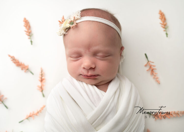 New Dundee baby photographer, New Hamburg newborn photographer, Newborn photographer new Hamburg,