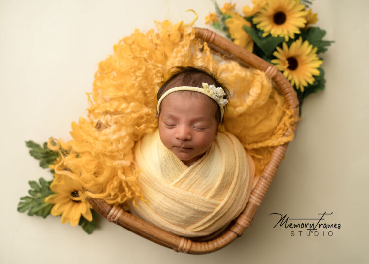 Cambridge best photographer, New Hamburg photographer, newborn photographer New Hamburg,