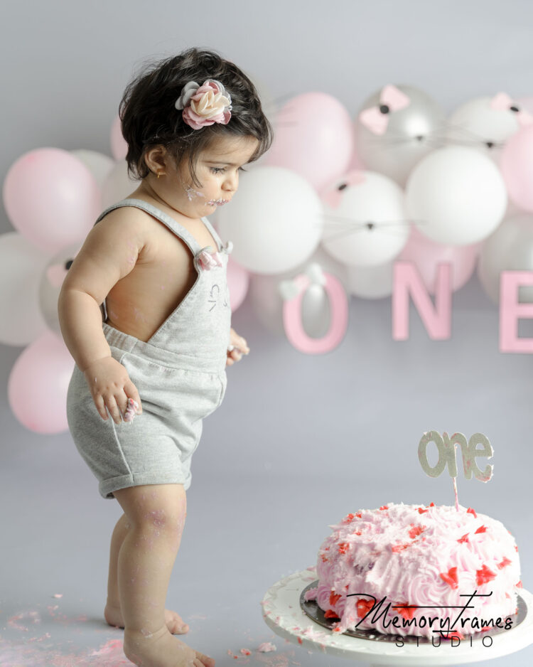 New Hamburg cake smash photographer, cake smash photographer new Hamburg,