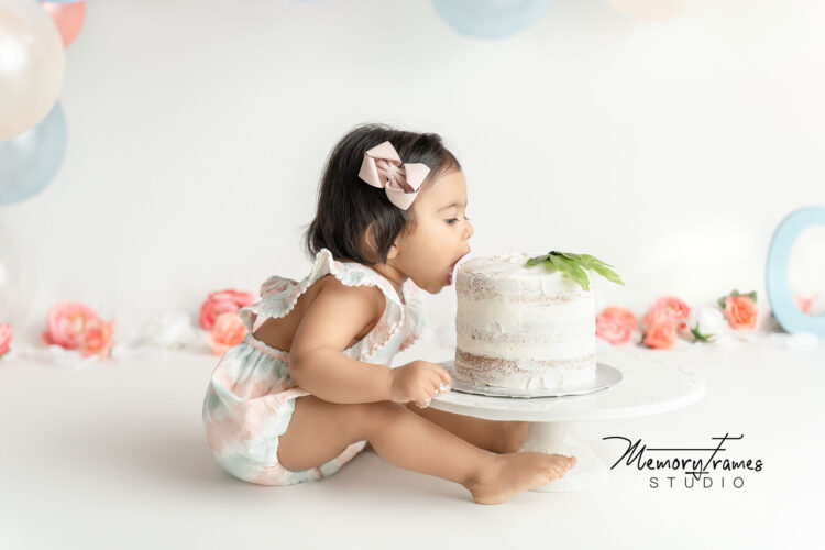 best cake smash photographer, cake smash set up, birthday ideas, first birthday photography,