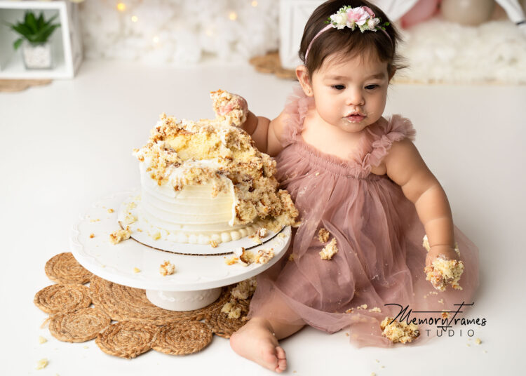 Kitchener cake smash photographer, Guelph cake smash photographer, cake smash photographer Guelph