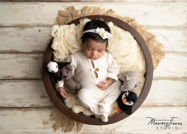 baby posed with soft toy in a bowl for newborn photoshoot